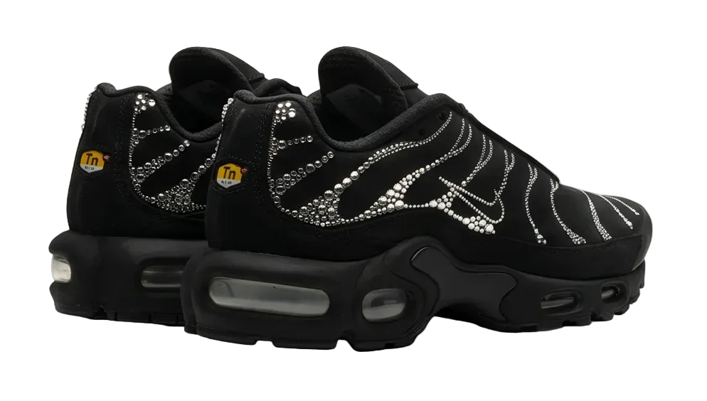 Nike TN x Custom Cristal Air Max Plus